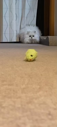 間違いだったけど　それもよしにの記事動画
