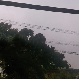 雨の画像