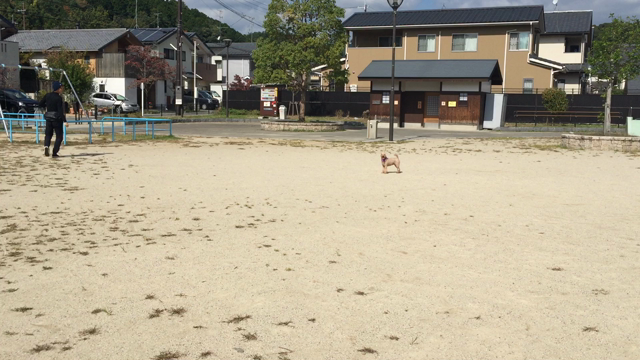 運動の秋の記事動画