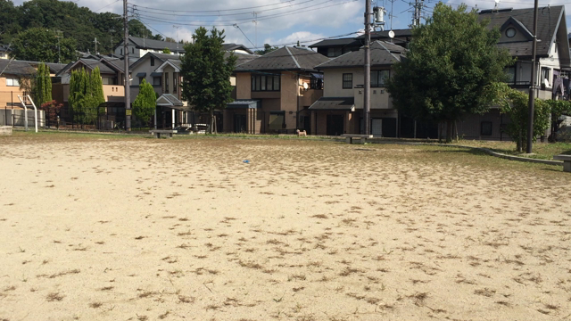 運動の秋の記事動画