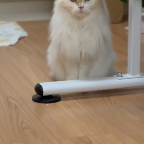 守りたい、この笑顔の画像
