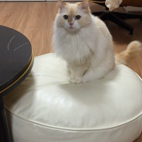 かわいい動画が撮れましたのでの画像