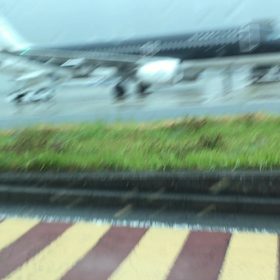 向かっとりますの画像
