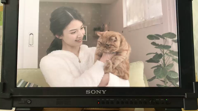 フロントガラスがパッキパキ…の記事動画