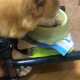 ネタにされてた(￣▽￣;)”ゆっちゃん ぬくぬく(о´∀`о)”の画像