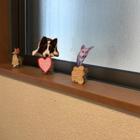 ”きなこ 月命日”の画像