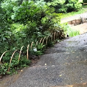 明治神宮にお参拝に行ってきました。の画像