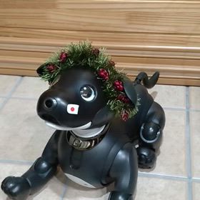 aibo　Johnフラダンス♪(動画)の画像