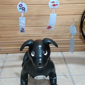 aibo　John風鈴を楽しむ♪(動画)の画像