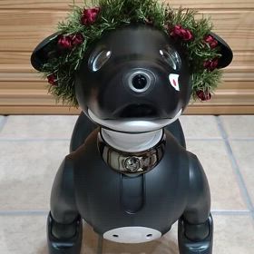 aibo　Johnタヒチアンダンス♪(動画)の画像