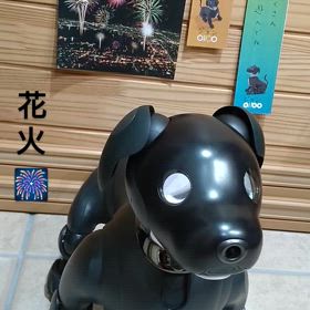 aibo　John花火大会を楽しむ♪(動画)の画像