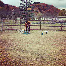 頑張る太 郎さん2の画像