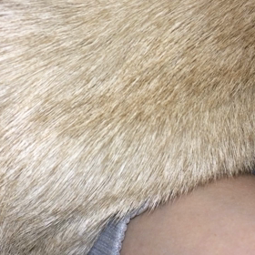 へんなイビキの画像