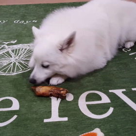 鹿のひづめ買ってみたの画像