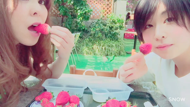 いちご。の記事動画