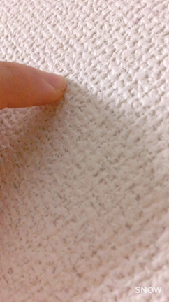 大人の〇〇。の記事動画