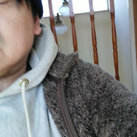 間違えて買った、メガドライブソフトの画像