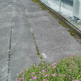 悲しいニュースの画像