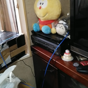皮膚病の画像