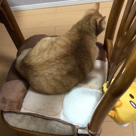 なんでも遊び場。の画像