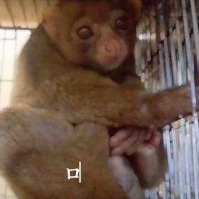 ポトの画像