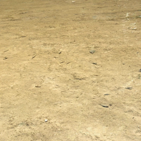 濃溝の滝…お魚までいました！の画像