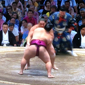 名古屋場所11日目の画像