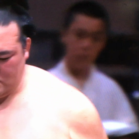 秋場所13日目の画像