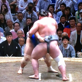 夏場所11日目の画像