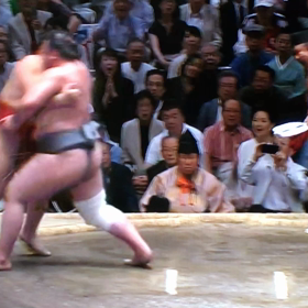 夏場所9日目の画像