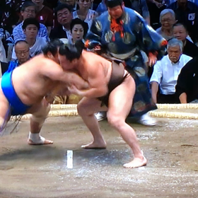 名古屋場所三日目の画像