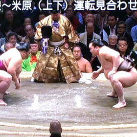 初場所11日目の画像