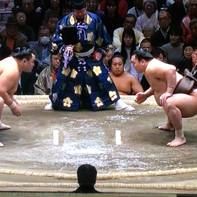 初場所12日目の画像