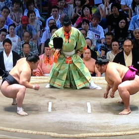 名古屋場所13日目の画像