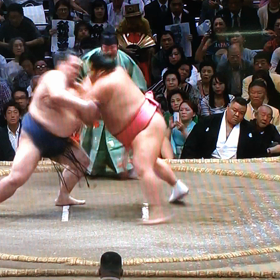 秋場所六日目の画像