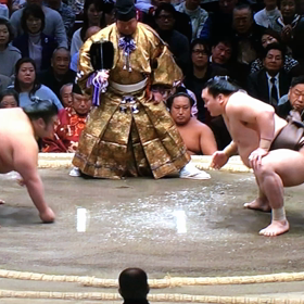 初場所13日目の画像