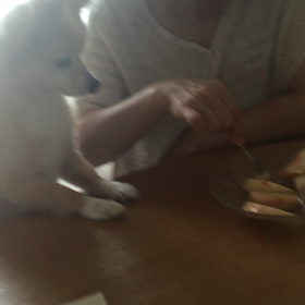 食いしん坊です！の画像
