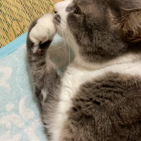 トラブルは突然にの画像