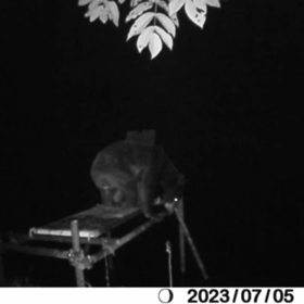 撮影成功！の画像