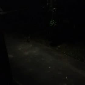 鳴き声の正体！の画像