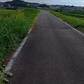 2024/08/24の画像