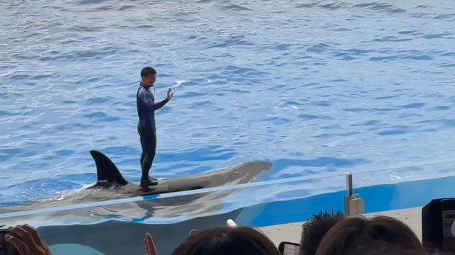 【後悔】ふるさと納税〜夫の休日の記事動画