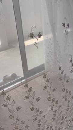 【友達と】リベンジできたランチ〜の記事動画