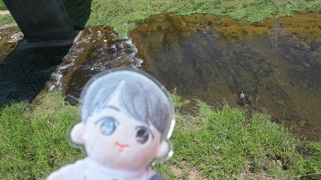 6/26水●2815新＊地元民がゆく店京都！温泉旅reblog！の記事動画