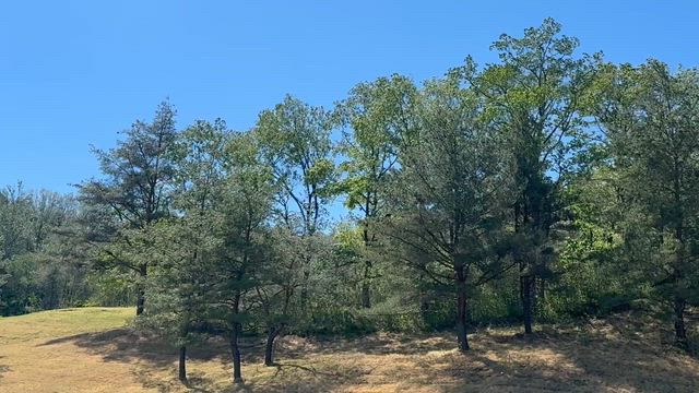 杜の公園ゴルフクラブの記事動画
