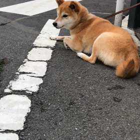 無理です。の画像