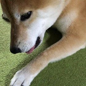 暑い日は…の画像
