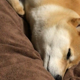 寝る前はいつも…の画像