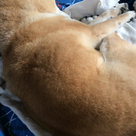 数日前の画像