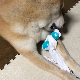 ひと眠りしての画像